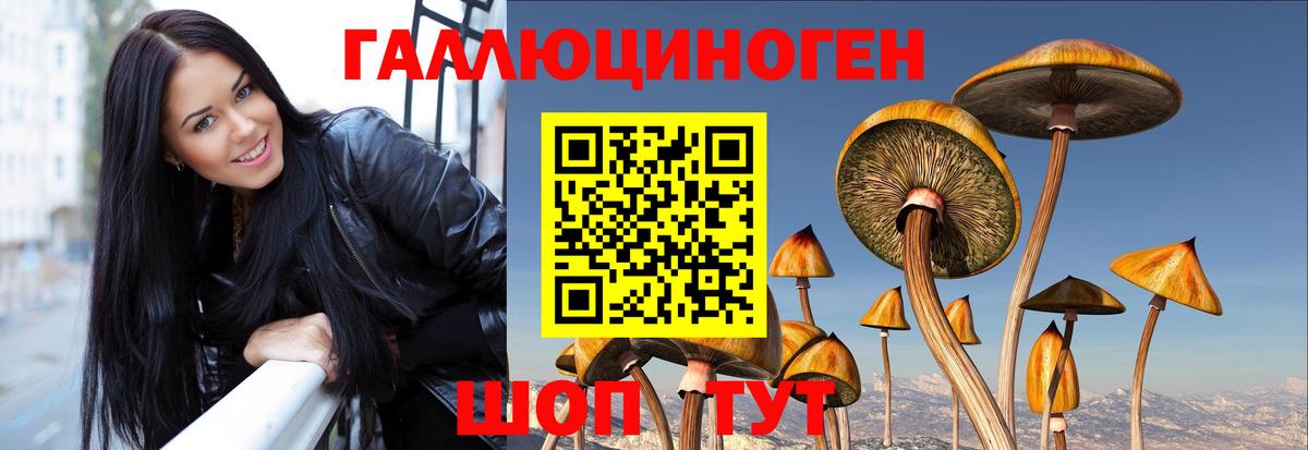 Галлюциногенные грибы Magic Shrooms Нефтекумск