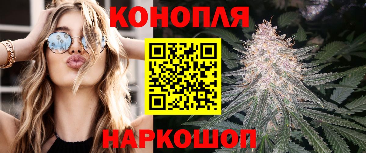 Бошки Шишки сатива Нефтекумск